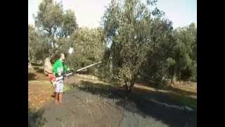 Scuotitore per olive - per la raccolta olive - Vibrotek - Tekna Srl