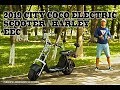 2019 Electric Scooter/Harley City Coco 60v 1500w EEC, 2 person, fluid brakes, suspensions, trunk