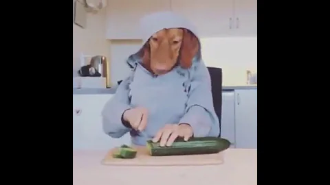 Dog Cutting Cucumber