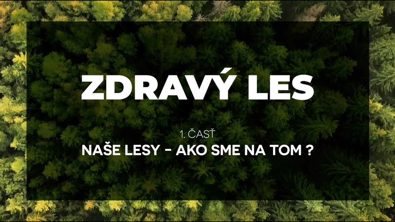 ZDRAVÝ LES - Naše lesy: ako sme na tom?