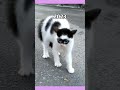 Evolution of Famous Memes (Then vs Now) 💔 #memes #legend #shorts #cat