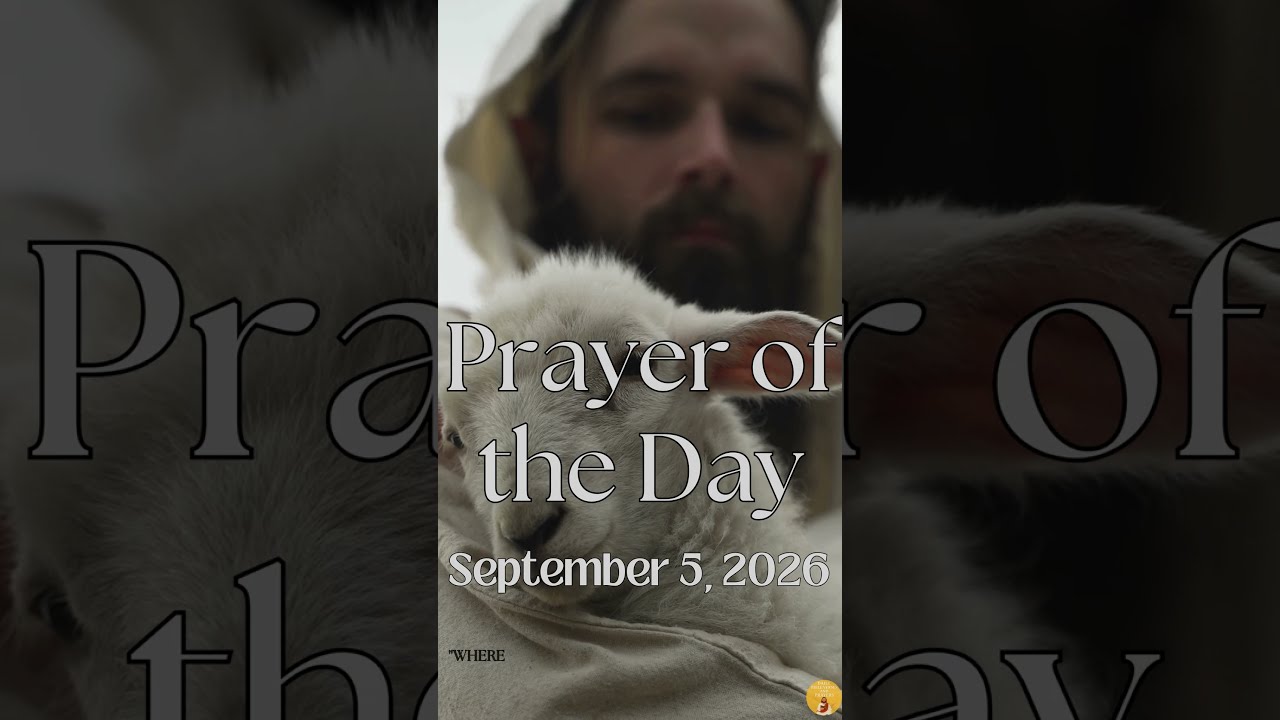 Prayer of the Day | September 5, 2026 #prayer #dailyprayer #jesuslovesyou