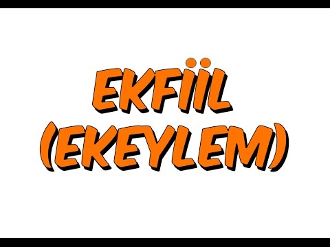 5dk da EKFİİL