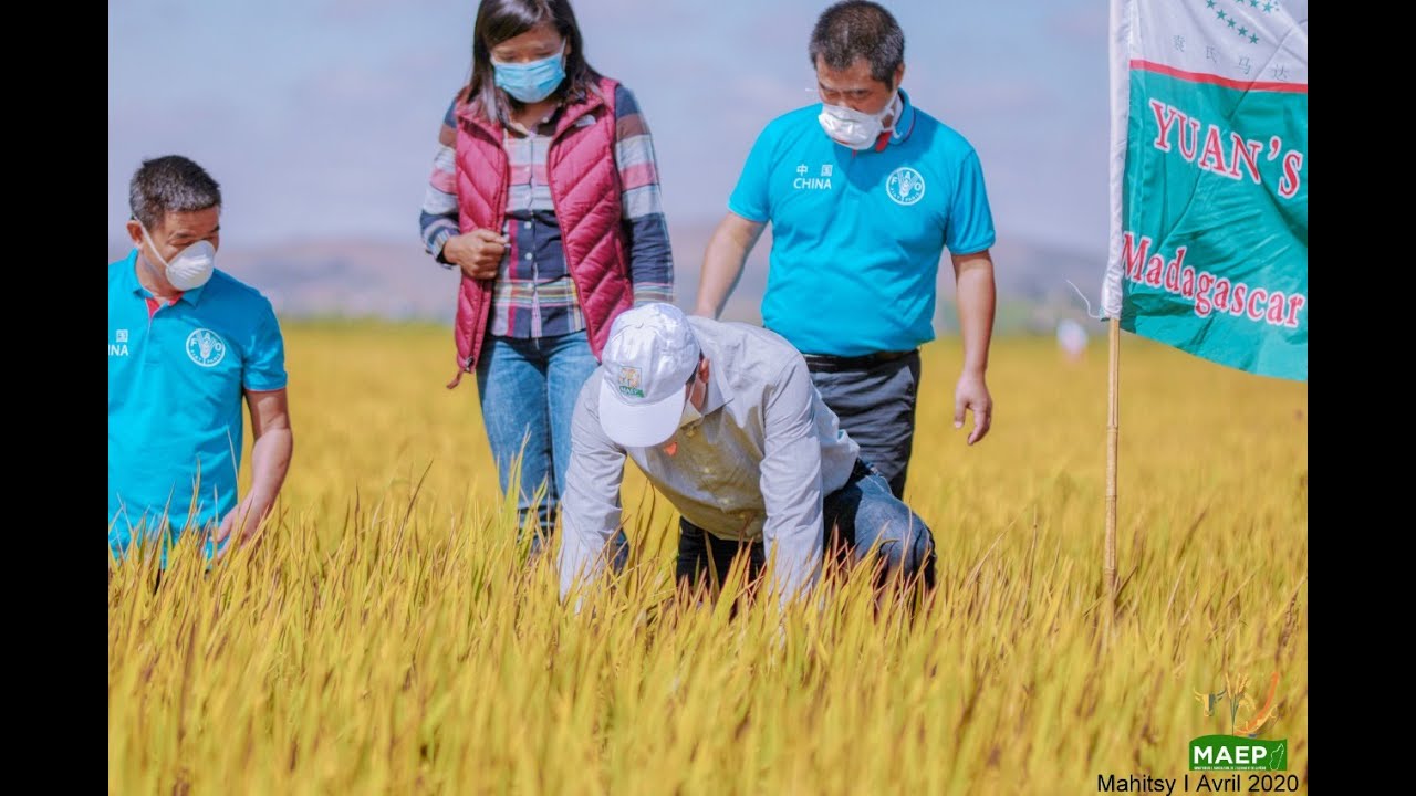 𝗩ARY SAFIOTRA, 𝘃𝗮𝗵𝗮𝗼𝗹𝗮𝗻𝗮 𝗵𝗼 𝗮𝗺𝗶𝗻’𝗻𝘆 𝗳𝗮𝗵𝗮𝘃𝗶𝘁𝗮𝗻-𝘁𝗲𝗻𝗮 𝗮𝗿𝗮-𝗯𝗮𝗿𝘆