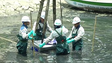 Hà Nội làm sạch sông Tô Lịch bằng công nghệ Nano Nhật Bản