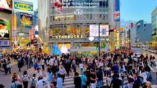 4K60 [การเปิดการต่ออายุ Shibuya Tsutaya] การเปิดการต่ออายุ Starbucks ในปี 2024 โตเกียว ประเทศญี่ปุ่น