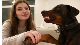 The Shelter Worker Told Me Not to Adopt This Doberman—Then She Growled Every Time I Touched Her Paws