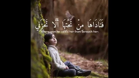 سورة مريم حالات واتس اب دينيه ومقاطع انستقرام