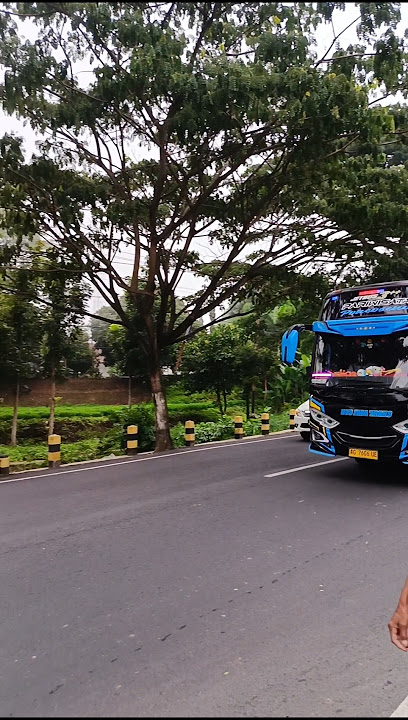 bts Jaya trans  #busmania #malang #batu #buspariwisata #telolet #short #shortvideo #wisata #statuswa