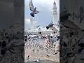 #Islamic short video