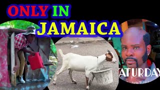 | funny video | only in jamaica |not a real place