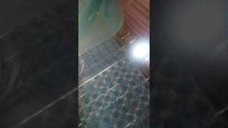 Ô địt mẹ thằng này được đấy