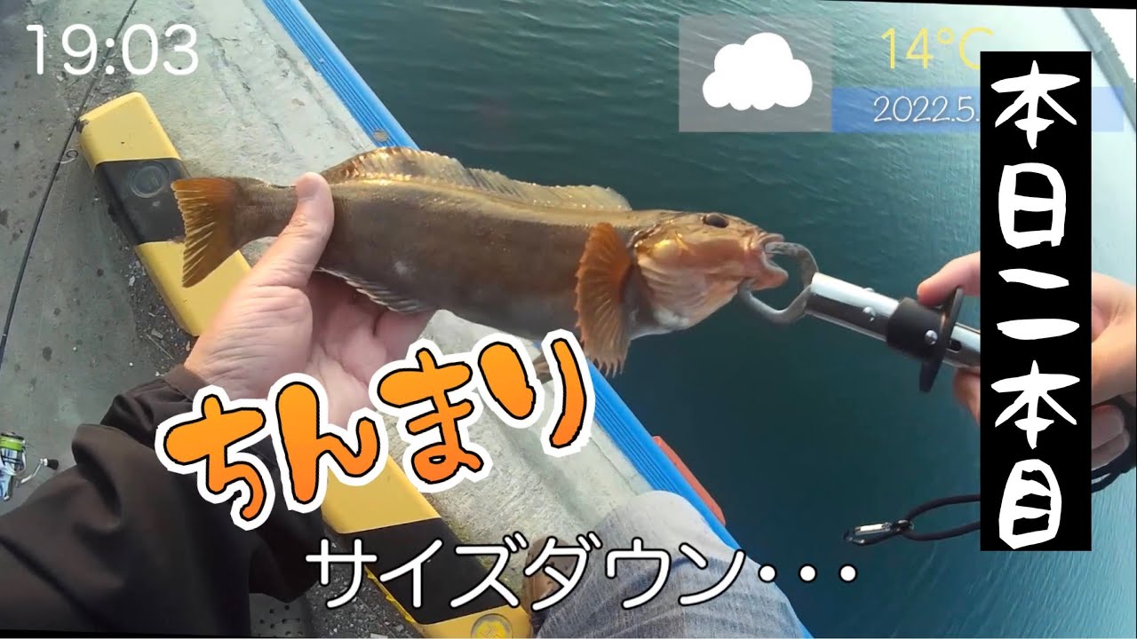 ロックフィッシュシーズン到来 繊細なバイトを楽しむ釣り Youtube