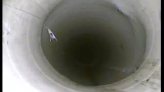 Sectional Liner