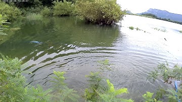 가물치낚시(korea 09-09-2018)