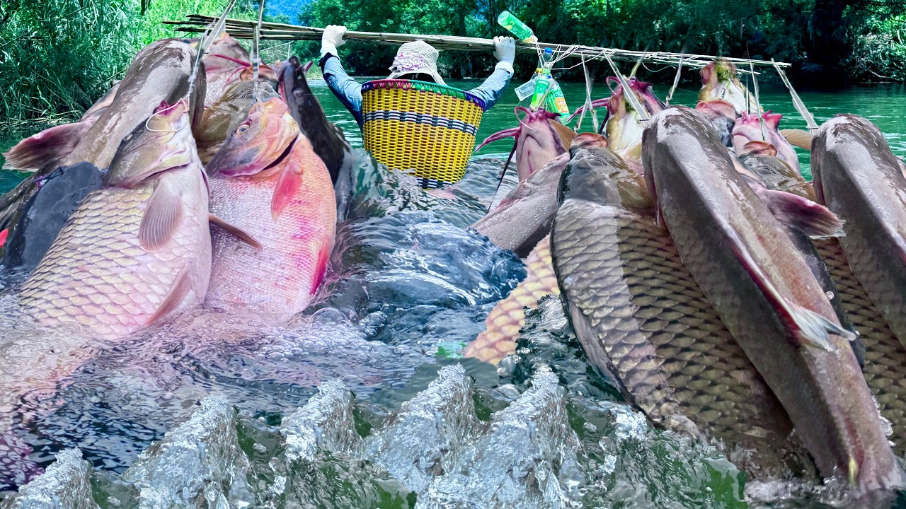 Traditional fishing skills - Single mother catches giant fish with a ...
