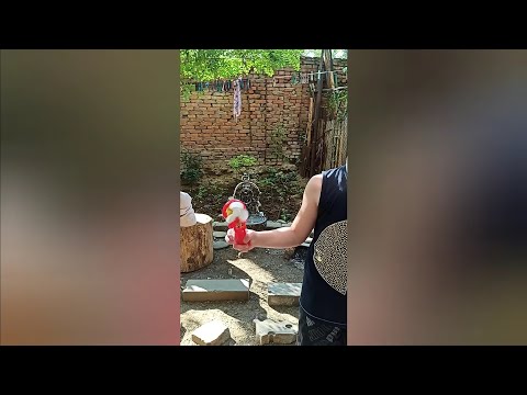 ცხოვრების სკოლა // 26.06.20 ანუ  მთელი დღის ვლოგი