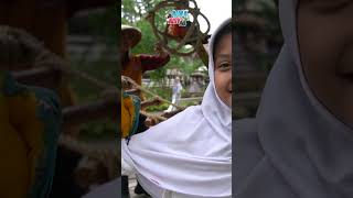 Aisy takut sama kambing