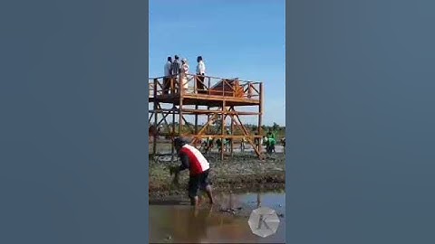 Kunker Perdana, Prabowo Lihat Food Estate di Merauke Papua Selatan