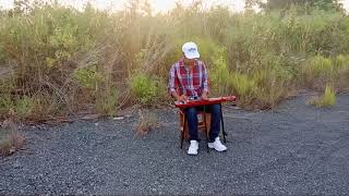 Instrument Hawaiian. I'M SO AFRAID LOSING YOU AGAIN...Cover Ruddy Lau