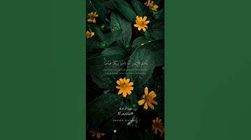 إدريس أبكر..سورة آل عمران.. ربنا اغفر لنا ذنوبنا وكفر عنا سيئاتنا…🤲🏻🌸🌿 #explore