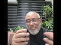 هكذا سيستجيب الله لك دعواتك التعقيب الاهم على كلام الاخ بكر وفيه مسك الختام 