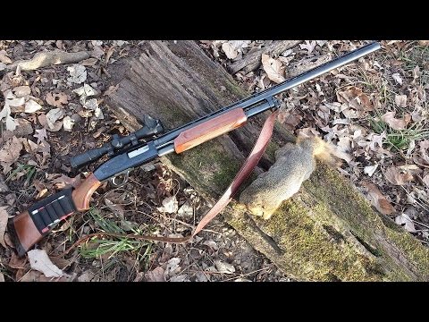 shotgun hunting squirrel gauge birdshot