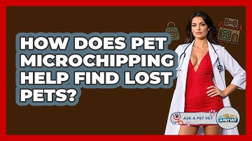 How Does Pet Microchipping Help Find Lost Pets? - Ask A Pet Vet