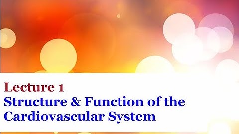 Lecture 1 - Introduction to the Cardiovascular System