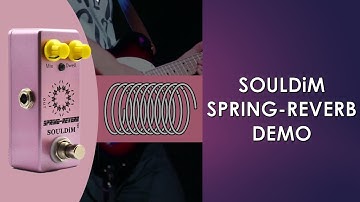 SOULDiM SPRING-REVERB DEMO