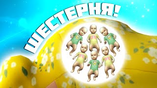 РОДИЛА ШЕСТЕРЫХ THE SIMS 4