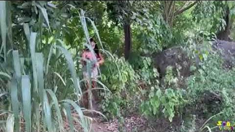 SEU BIU DEU UMA BRINCADINHA COM BEBEL 😅😅