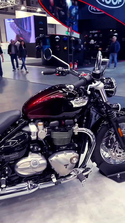 2024 triumph speedmaster stealth edition #triumphmotorcycles #triumph