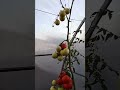второй оборот