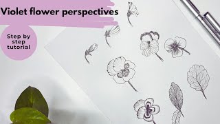 How to draw pansies. Violet | Pansy flower perspectives and drawing. February flower illustration.