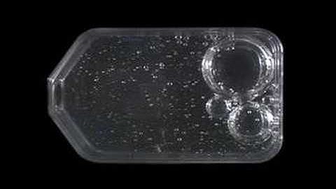 Bubble Motion in Microgravity