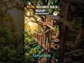 He Built a Dream Treehouse in Minutes 😲🌳 | Unbelievable Craftsmanship#Treehouse#Woodworking#viral