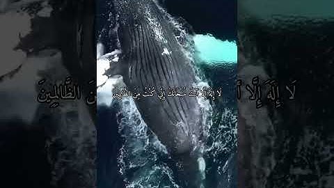 واتس اب قران كريم الشيخ عثمان الخميس
