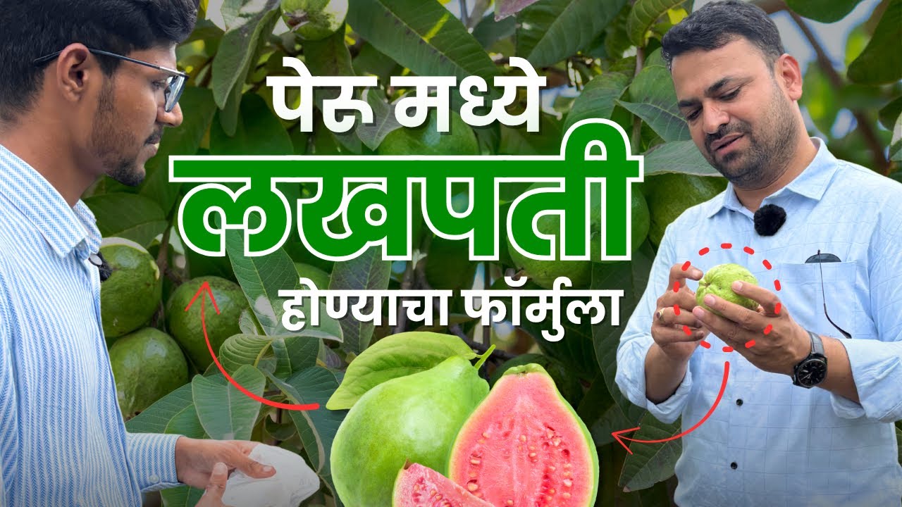 १ वर्ष = १० लाख! | Expert Advice & Live Experience | Full Step-by-Step Guide