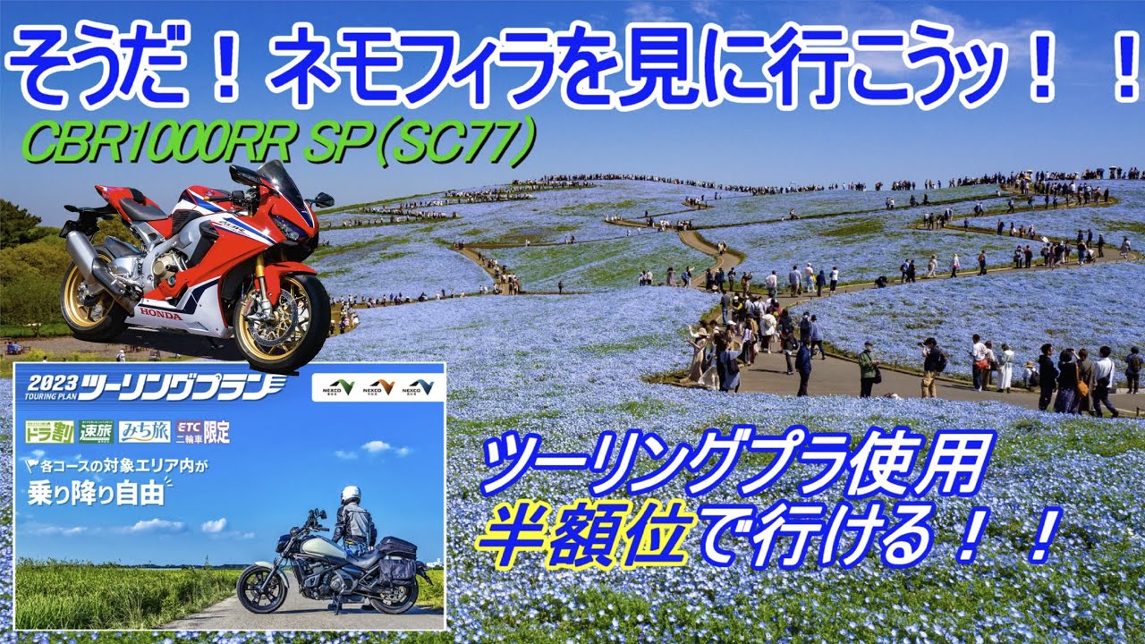 You can go for about half price using the touring plan! Hitachi