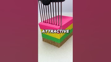 Put A Finger Down The ATTRACTIVE Edition 🧬 #shorts