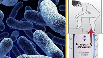 ¿Qué probiótico ayuda con las infecciones por levaduras?