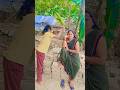 Mansi jhadu maar do#funny #comedy #viral #video #trending