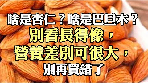 啥是杏仁？啥是巴旦木？別看長得像，營養差別可很大，別再買錯了 - 天天要聞