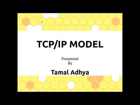 TCP/IP Model: Most Popular Widely Used Internet Protocol Suite in Bengali