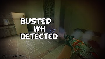 Busted Cheater CS GO Global ELITE 2016 Mo Be Dick
