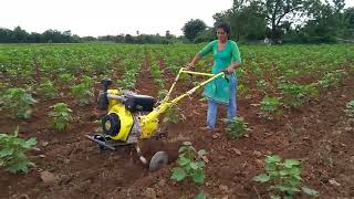 Cotton intercultivation made easy with kisan Kraft power weeder || Farmer Dakshit