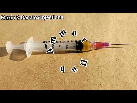 Use of Eva Injection, Banalox Injection, Maxin & Loxin Injection For All Type of Birds-LiveStock etc