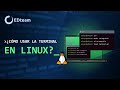 Curso: Domina la terminal en Linux (1)