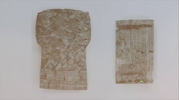 7. Natural Honeycombs: Cork; Foams: Linear Elasticity